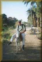 Ezel rijden op de West-bank