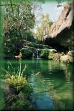 Piscine Naturelle