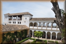  Patio del ciprés