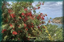 Lampenpoetsers