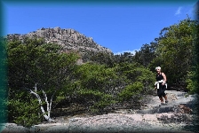 Wineglass Bay