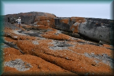Bay of Fires
