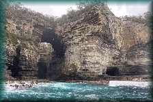 Tasman Island Cruises