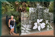 botanische tuin