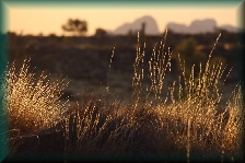 Uluru