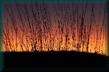 Uluru