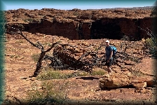 Kings Canyon