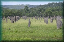 Litchfield NP