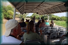 Yellow Water Cruise