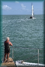 The Great Barrier Reef