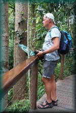 Kuranda Scenic Skyrail