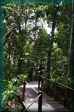 Kuranda Scenic Skyrail