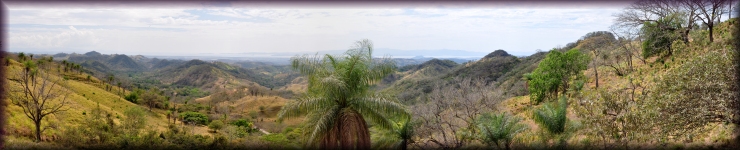 Monteverde