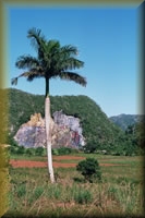 Mural de la Prehistoria