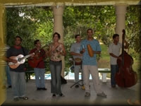 Live muziek