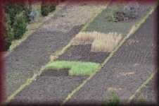 Landschap