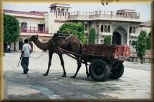Transport "wagen"