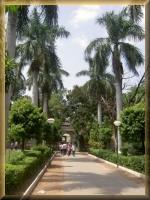 Saheliyonki-Bari
