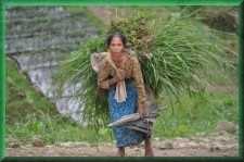 Vrouw met gras