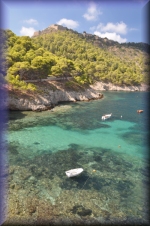Assos
