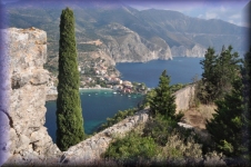 Assos