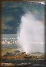 Geiser bij het Bogoria meer