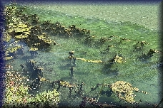Preveli beach