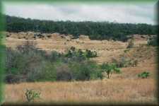 Landschap