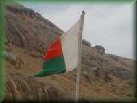 Vlag