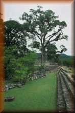 Copán