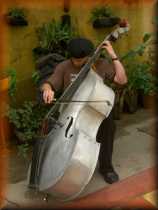Cellist