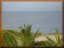 Caribische zee
