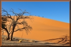 Sossusvlei
