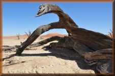 Sossusvlei