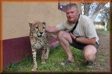 Cheeta