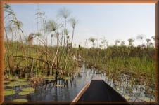 Varen door de Delta