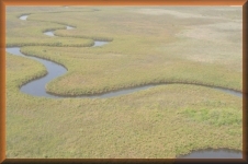 Rivier
