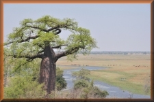 Grensovergang naar Botswana