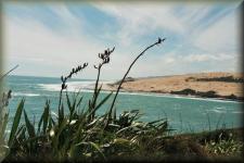 Hogianga Harbour 
