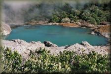 Te Werenga Hotpool