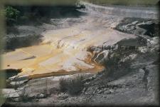 Whakarewarewa