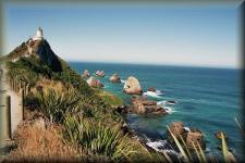 Nugget Point 