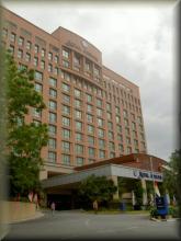 Hotel Royal Adelphi