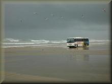 90 Mile Beach