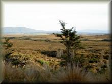 Tongariro NP