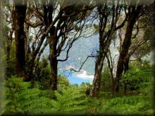 Queen Charlotte Track