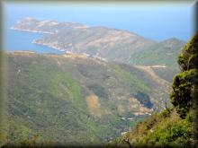Marlborough Sounds