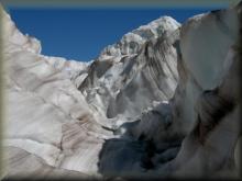 Fox Glacier