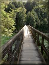 Kepler Track