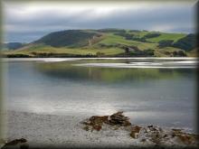 Catlins